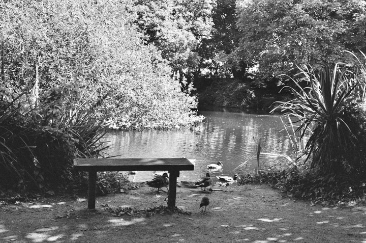 Minolta X-7A with 45mm f/2 & Ilford XP2 – Cornish Coastal Town Photography