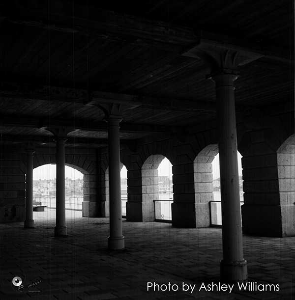 Week 1 of 52, Rolleiflex T | A-R13.jpg