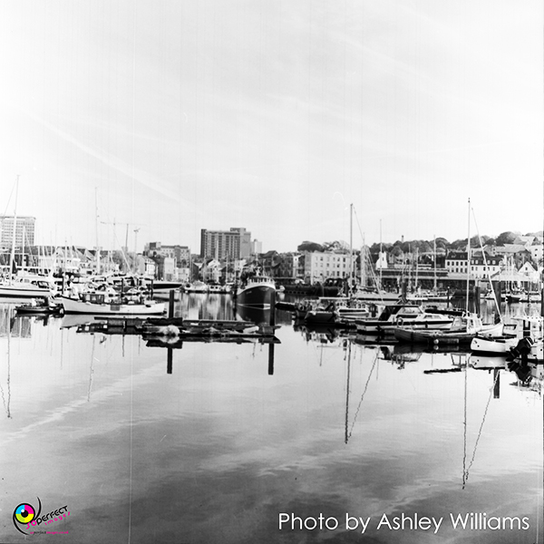 Week 1 of 52, Rolleiflex T | A-R3a.jpg