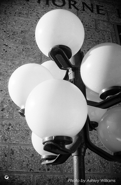 Week 2 of 52, Ilford Advocate 