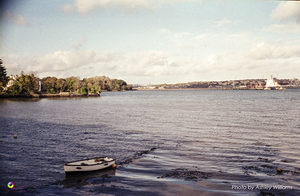 Week 2 of 52, Ilford Advocate 