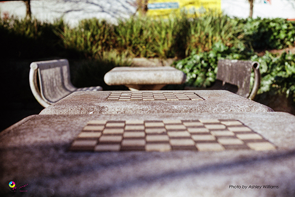 Week 5 of 52, Canon FP | 19.jpg