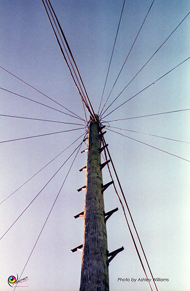 Week 5 of 52, Canon FP | 6.jpg
