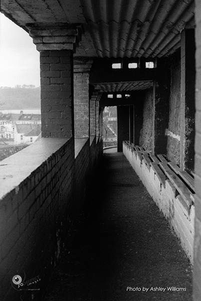 Week 5 of 52, Canon FP | 1-13.jpg