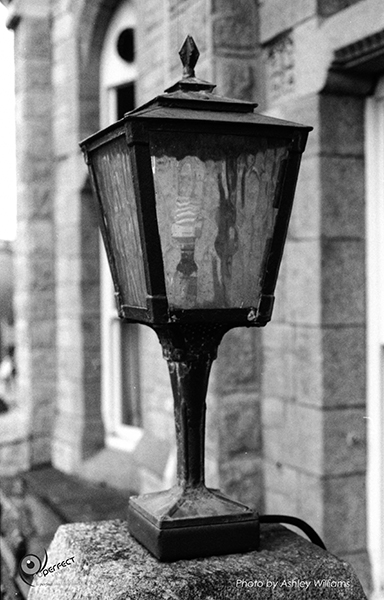 Week 5 of 52, Canon FP | 1-17.jpg