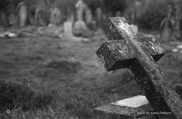 Week 5 of 52, Canon FP | 1-6.jpg