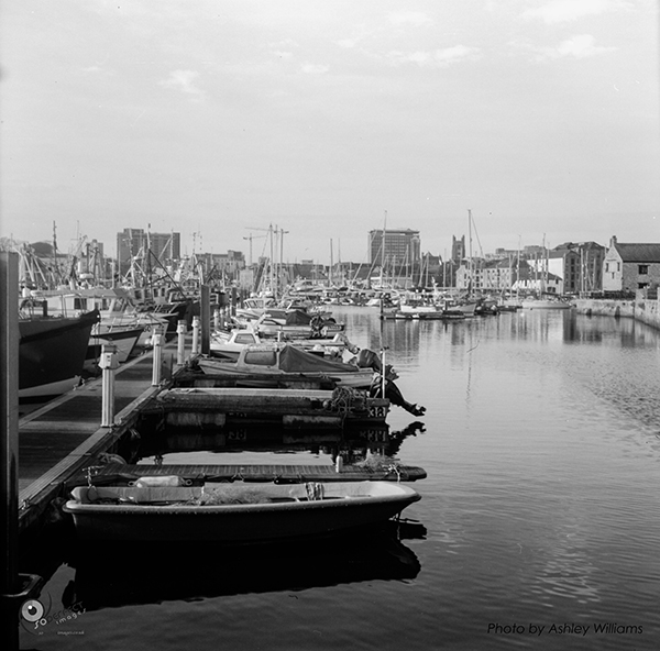 Week 6 of 52, Zeiss Nettar | 1-7.jpg