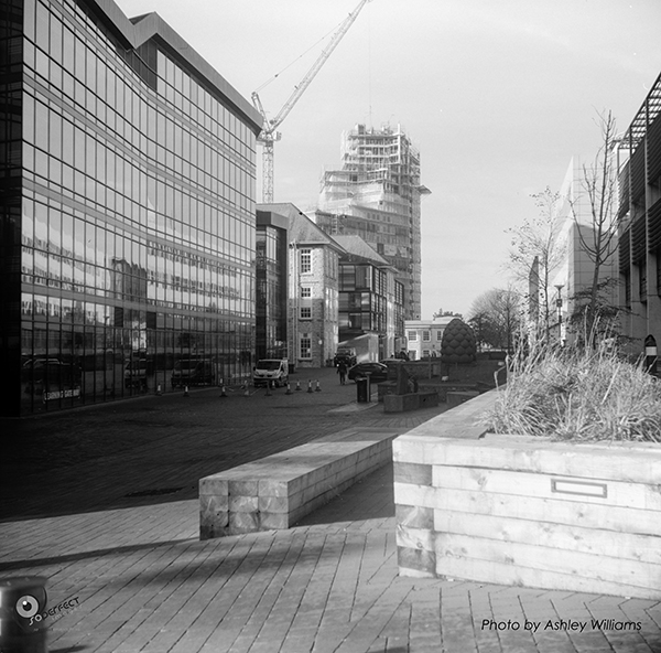 Week 6 of 52, Zeiss Nettar | 1-10.jpg
