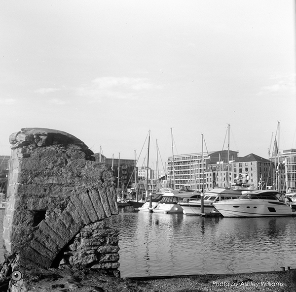 Week 6 of 52, Zeiss Nettar | 1-11.jpg