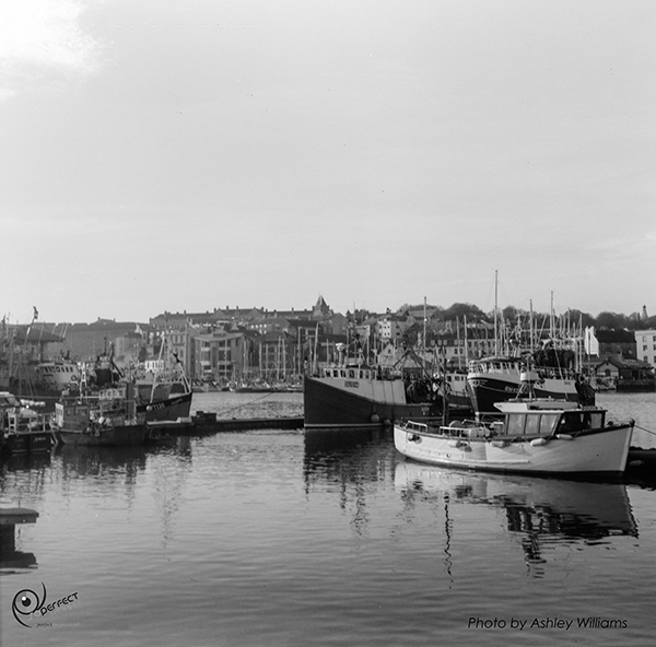 Week 6 of 52, Zeiss Nettar | 1-12.jpg