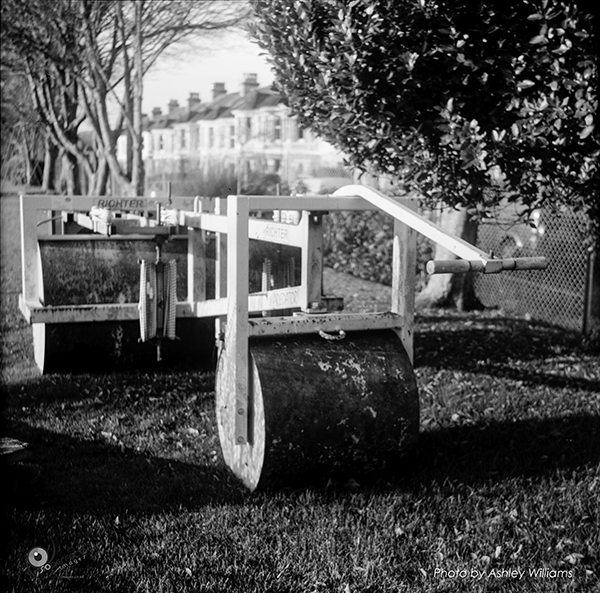 Week 6 of 52, Zeiss Nettar | 1-2.jpg