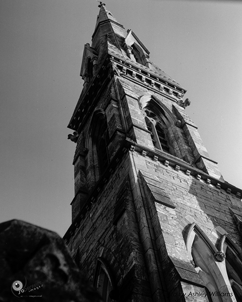 Week 6 of 52, Zeiss Nettar | 1-3.jpg