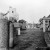 Week 6 of 52, Zeiss Nettar | 1-9.jpg
