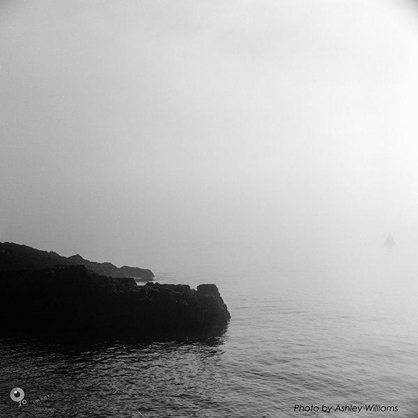 Week 6 of 52, Zeiss Nettar | 1-Untitled-Scanned-12.jpg