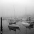 Week 6 of 52, Zeiss Nettar | 1-Untitled-Scanned-05.jpg