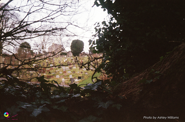 Week 7 of 52, Braun Super Paxette | 1-Untitled-Scanned-14.jpg