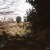 Week 7 of 52, Braun Super Paxette | 1-Untitled-Scanned-14.jpg