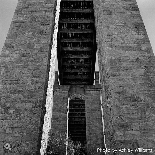 Week 1 revisited  | rolleiflex_9.jpg