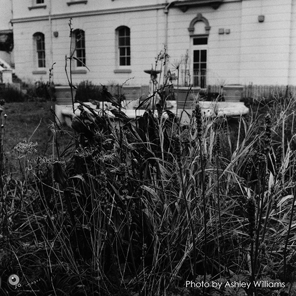 Week 1 revisited  | rolleiflex_3.jpg