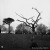 Week 1 revisited  | rolleiflex_2.jpg