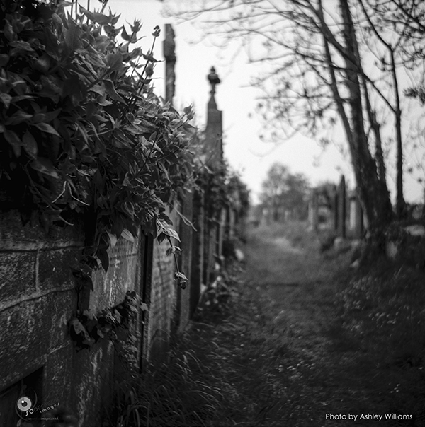 Week 27 of 52, Lubitel