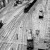 The lost roll | hp3.8.jpg