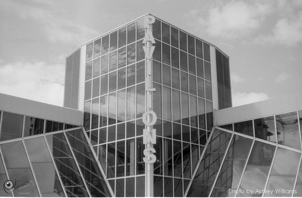Week 38 of 52, Pentax Spotmatic SP | s10.jpg