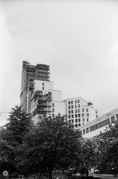 Week 38 of 52, Pentax Spotmatic SP | s21.jpg