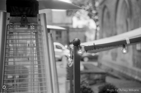 Week 38 of 52, Pentax Spotmatic SP | s16.jpg