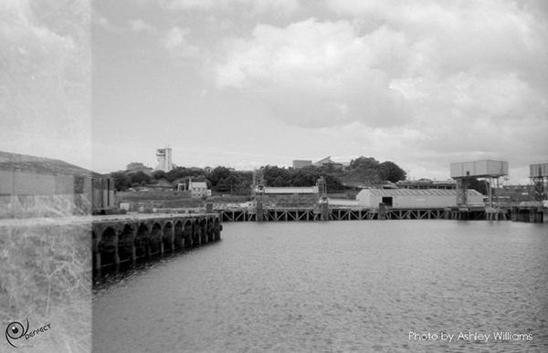 Week 38 of 52, Pentax Spotmatic SP | s4.jpg