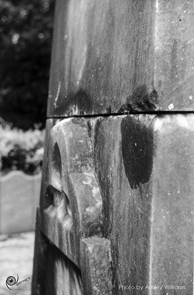 Week 38 of 52, Pentax Spotmatic SP | s22.jpg