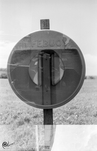 Week 38 of 52, Pentax Spotmatic SP | s3.jpg
