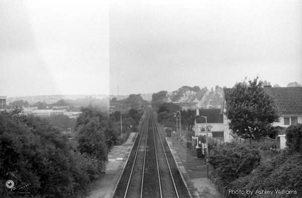 Week 38 of 52, Pentax Spotmatic SP | s8.jpg