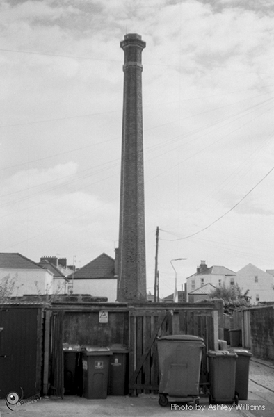 Week 38 of 52, Pentax Spotmatic SP | s11.jpg