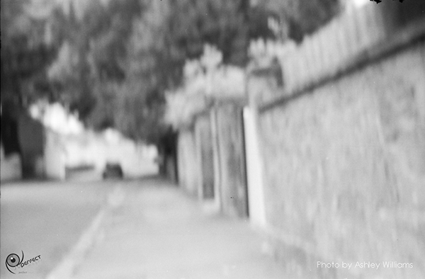 Week 38 of 52, Pentax Spotmatic SP | s7.jpg