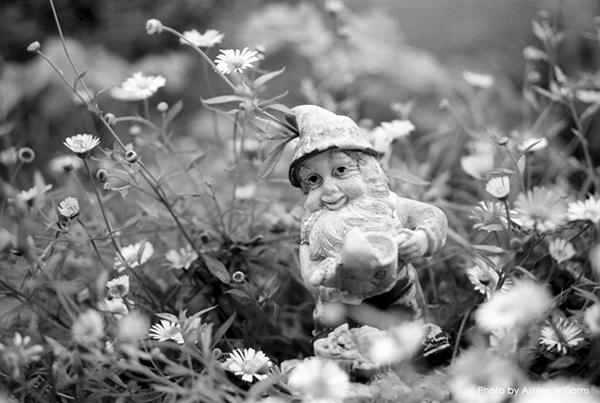 Week 45 of 52, Canon AE-1 | d13.jpg