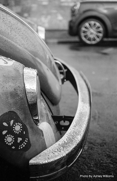 Week 45 of 52, Canon AE-1 | d16.jpg