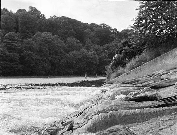 Week 47 of 52, Double Trouble | Untitled-Scanned-14.jpg