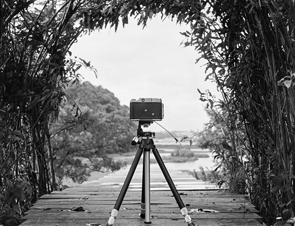 Week 47 of 52, Double Trouble | Untitled-Scanned-13.jpg