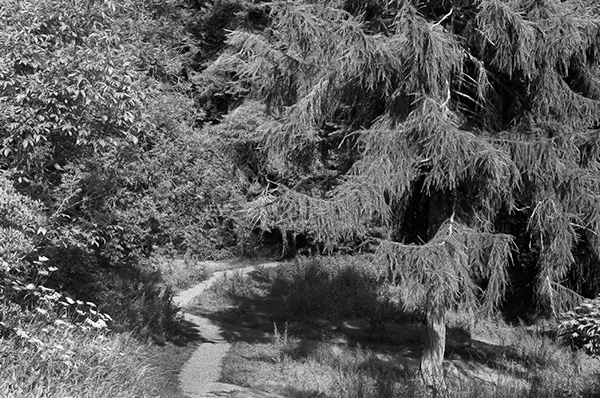 Film test - Leica M4 | Leica_M4__2.jpg