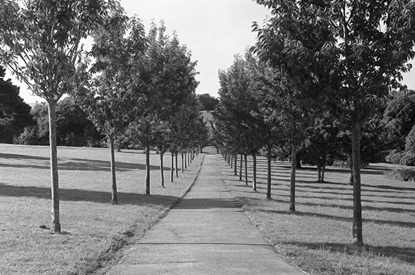 Film test - Leica M4 | Leica_M4__3.jpg