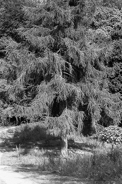 Film test - Leica M4 | Leica_M4__1.jpg