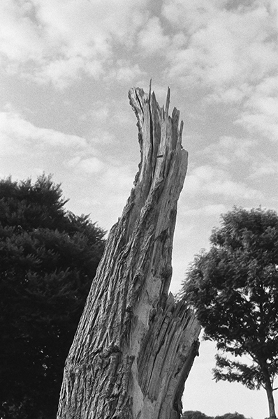 Film test - Leica M4 | Leica_M4__9.jpg