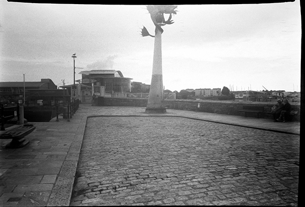 Film test - Envoy Wide Angle Camera | Envoy_wide_angle__8a.jpg
