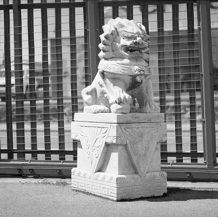 Film test - Mamiya C330f 