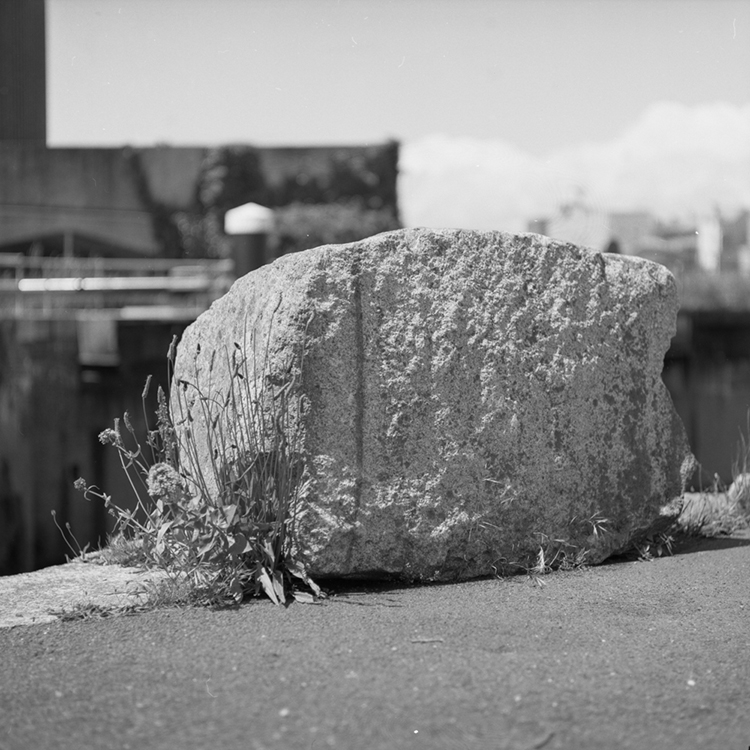 Film test - Mamiya C330f 