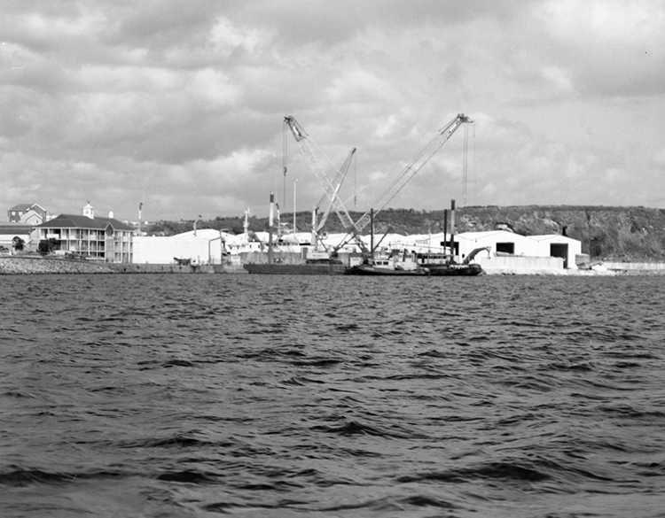 Photo walk June 2019, testing a Linhof Super Technika 