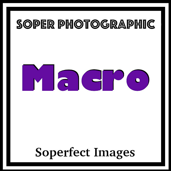 Macro